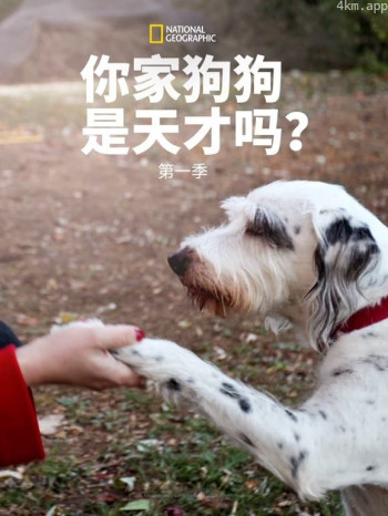 你的狗狗是天才吗? 第一季