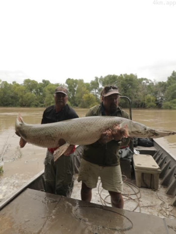 大鱼传说 第一季