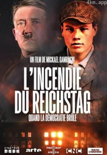 国会大厦之火-当民主燃烧时