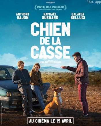 Chien de la casse