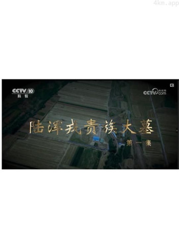 陆浑戎贵族大墓