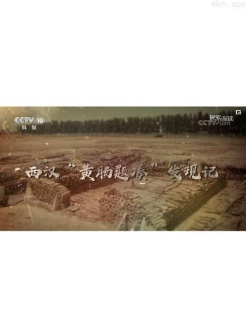 西汉“黄肠题凑”发现记