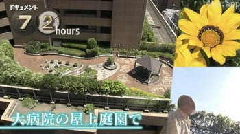 ドキュメント72時間：大病院の屋上庭園で