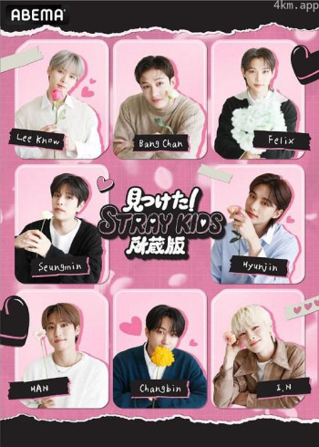 找到了Stray Kids收藏版