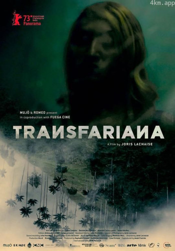 跨性别哥武联盟