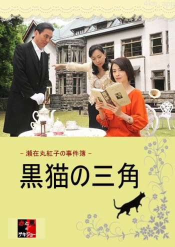 濑在丸红子的事件簿：黑猫的三角