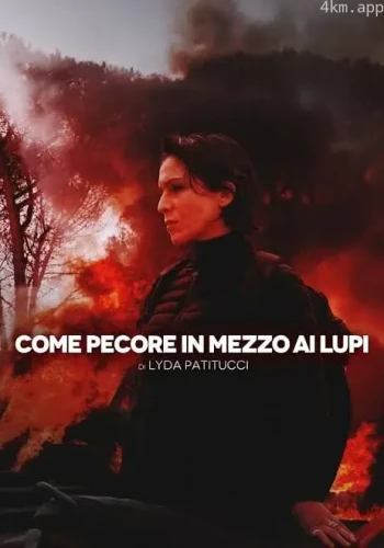 Come pecore in mezzo ai lupi