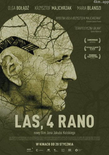 凌晨四点在森林