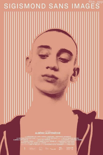 没有图像的西吉斯蒙