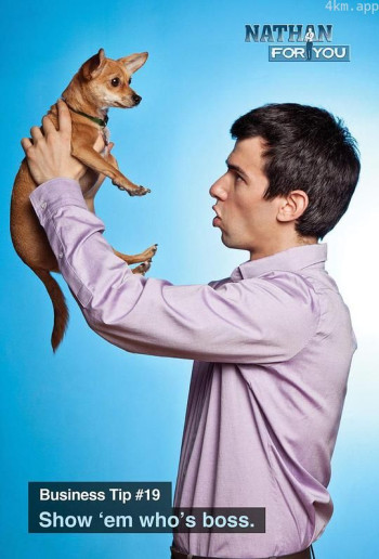 救援高手 第四季