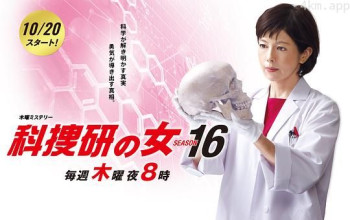科搜研之女 第十六季