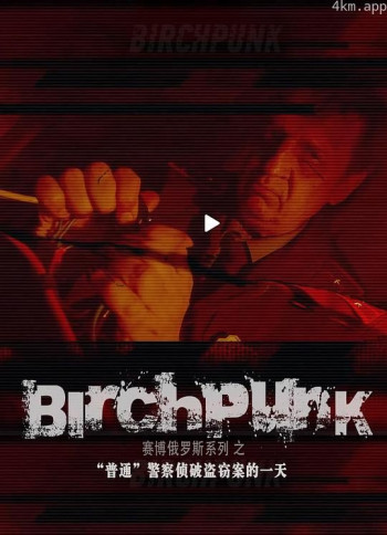 俄罗斯赛博警察