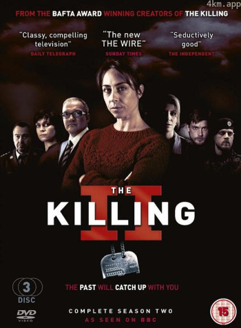 丹麦版谋杀 第二季