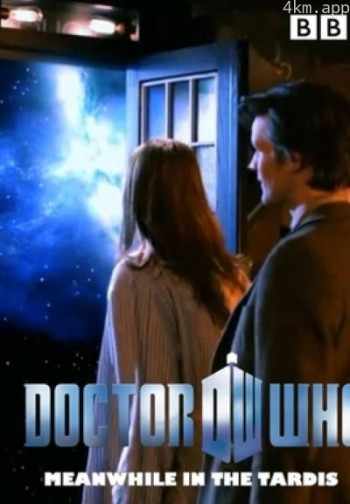 神秘博士：与此同时