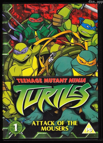 忍者神龟 第五季