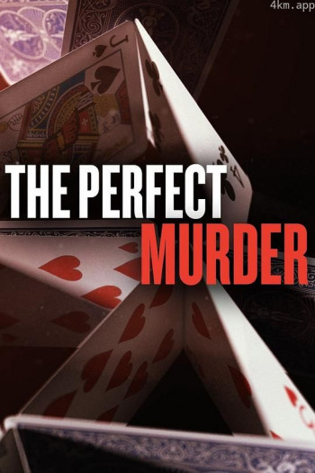 完美谋杀案 第一季