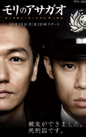 森林里的牵牛花