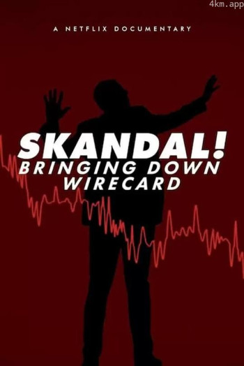 金融丑闻:揭发Wirecard诈骗案