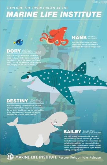 海底总动员2:海洋生物访谈