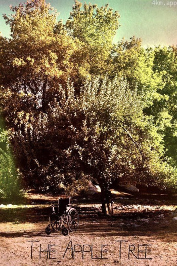 苹果树下