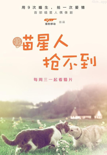 喵星人抢不到 第一季