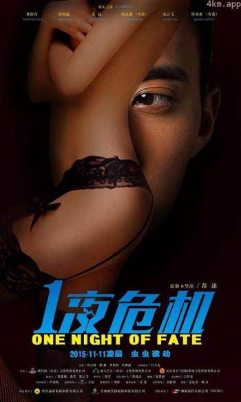一夜危机