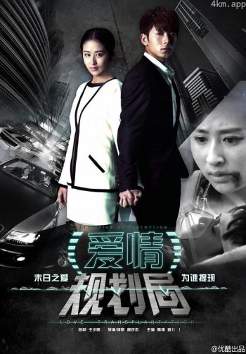 勇敢爱之爱情规划局