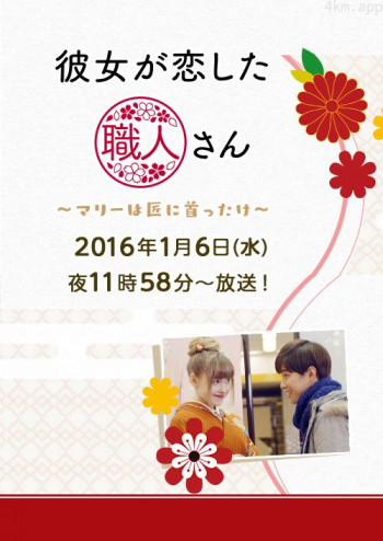 她爱上了匠人：玛丽对工匠着了迷