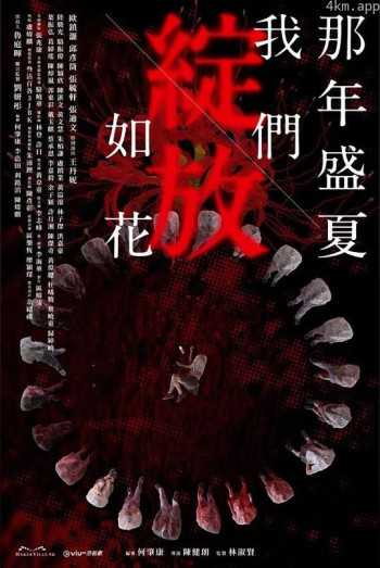 那年盛夏 我们绽放如花