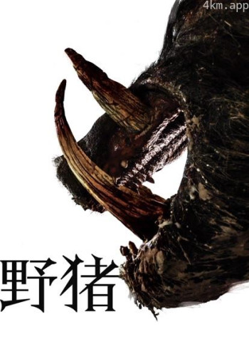 野猪（普通话）