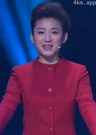 中国灯谜大会 第二季