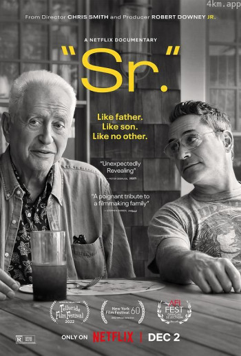 罗伯特·唐尼：自成一格