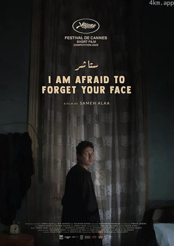 害怕忘记你的脸