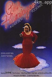 粉红色的火烈鸟1972