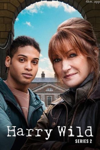 哈丽·怀尔德 第二季