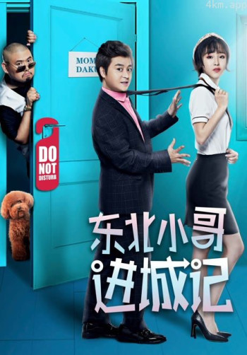 东北小哥进城记