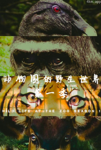 动物园的野生世界 第一季