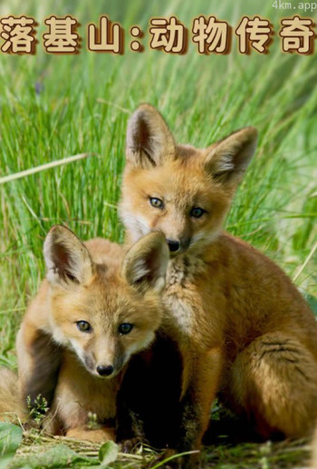 落基山:动物传奇普通话版