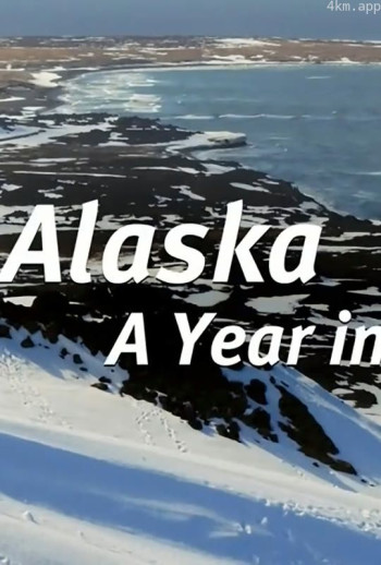 阿拉斯加：荒野年轮