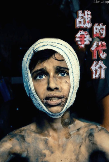 战争的代价中文版