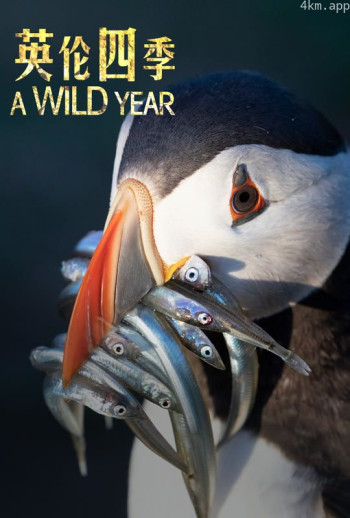 英伦四季普通话版