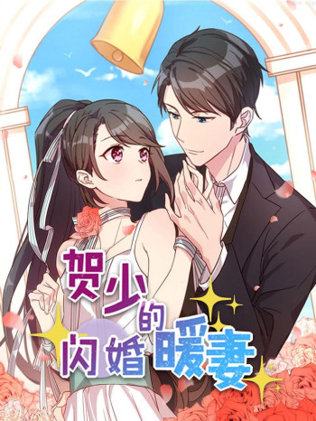 贺少的闪婚暖妻