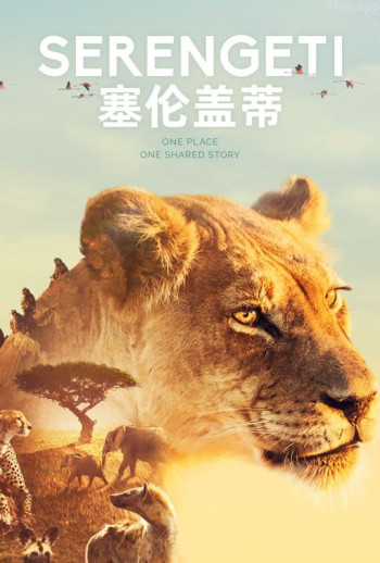 塞伦盖蒂 第一季 中文版