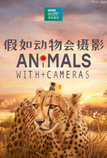 假如动物会摄影 中文版