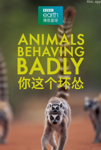 你这个坏怂中文版