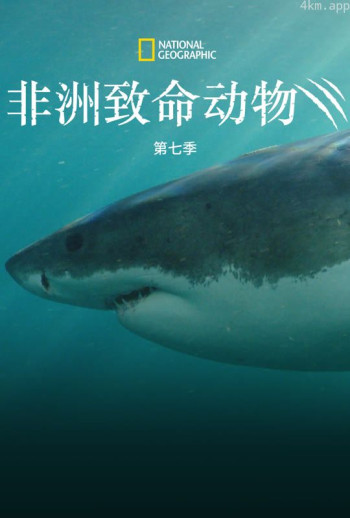 非洲致命动物 第七季