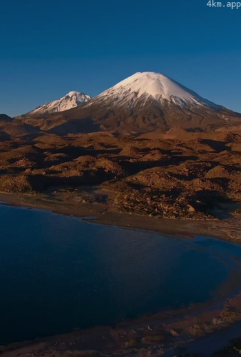 智利：野生之旅
