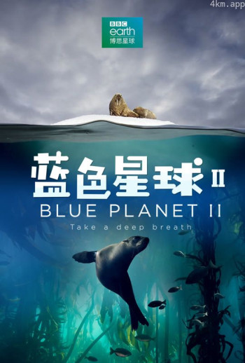 蓝色星球2普通话版