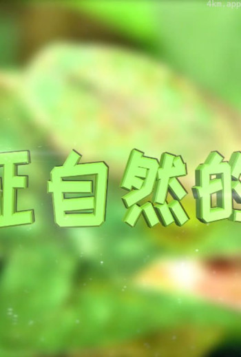 见证自然的奇迹