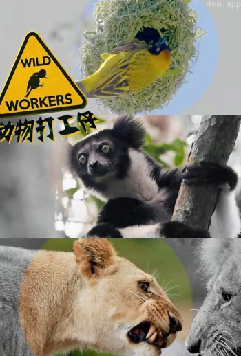 动物打工仔(英文)